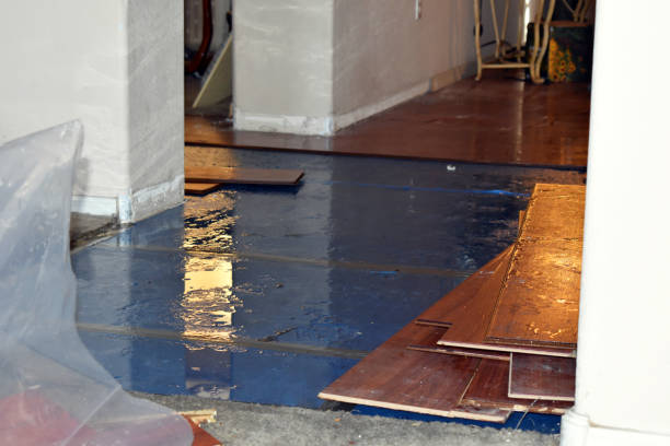 Professional Burst Pipe Cleanup technician working in Wendell Depot, MA